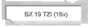 BX 19 TZI (16v)